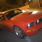 Red Mustang KOSS